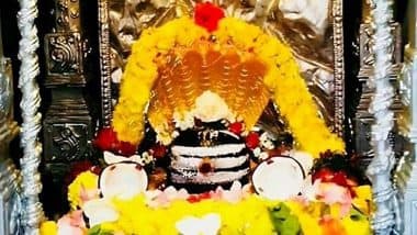 12 Jyotirlingas: दक्षिण के कैलाश पर स्थित मल्लिकार्जुन महादेव, जहां शिव और शक्ति विराजते हैं एक साथ