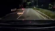 Leopard Attacks Bike Rider: चलती बाइक पर तेंदुए ने किया हमला, शख्स की बाल बाल बची जान, तिरुपति के जू पार्क रोड की घटना का VIDEO आया सामने