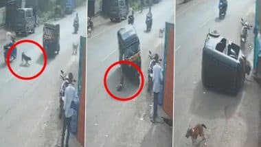 Palghar Road Accident: कुत्ते को बचाने के लिए ड्राइवर ने मोड़ा ऑटो रिक्शा, ब्रेक लगाते ही सड़क पर हुआ पलटी, 3 लोग हुए घायल;VIDEO