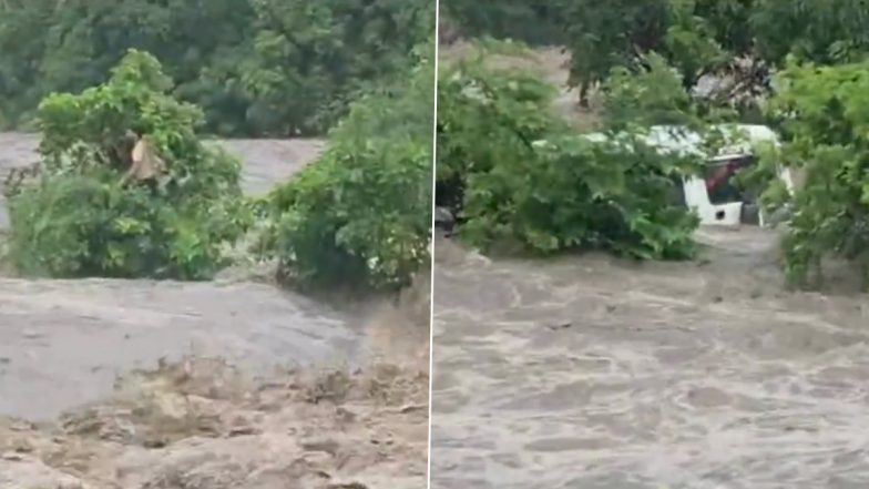 Rajasthan: पानी के तेज बहाव में स्कूल वैन फंसी, पेड़ पर चढ़े छात्र, पुलिस और NDRF की टीम ने किया रेस्क्यू, राजस्थान के राजसमंद का VIDEO आया सामने