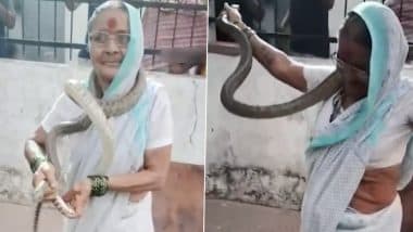 Snake Rescue: कमाल है! 70 साल की बुजुर्ग महिला ने सांप को हाथों से पकड़ा, गले में लपेटा, हिम्मत देखकर लोग हुए हैरान, पुणे जिले के मुलशी तहसील का VIDEO आया सामने