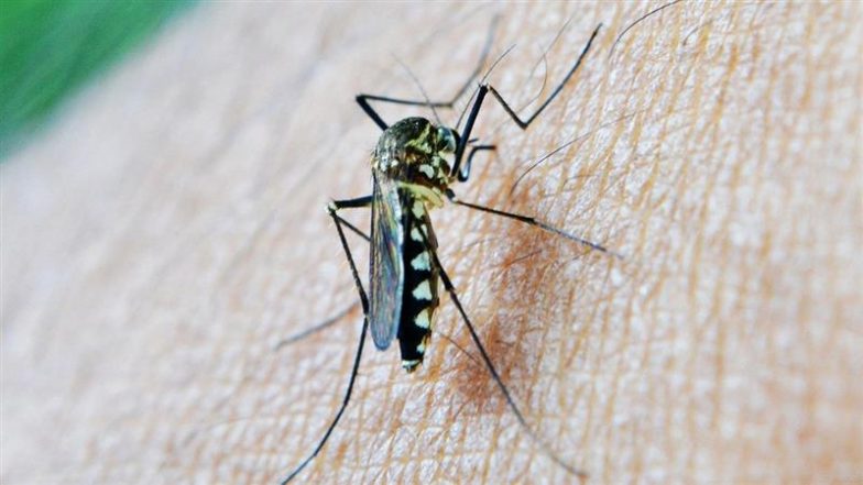 Dengue Cases in Manipur: मणिपुर में डेंगू के 39 और मामले पॉजिटिव, इस साल मामलों की संख्या बढ़कर 5,166 हुई