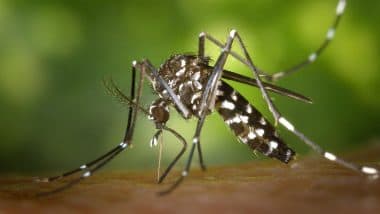 Mosquito Control Programme: AI की मदद से मच्छरों की संख्या, प्रजाति और फैलाव की रखी जाएगी निगरानी, ड्रोन से होगा छिड़काव, आंध्र प्रदेश सरकार SMoSS प्रोजेक्ट करेगी शुरू