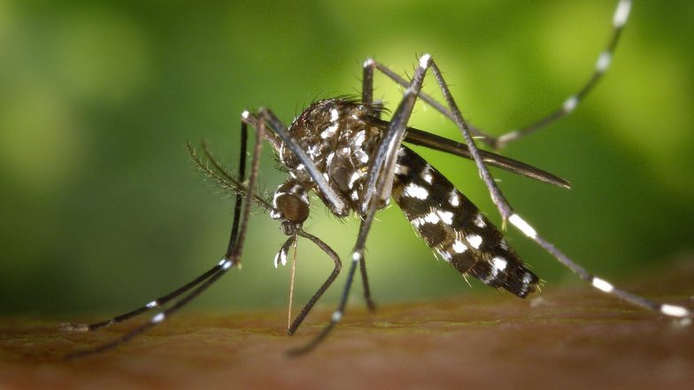 Mosquito Control Programme: AI की मदद से मच्छरों की संख्या, प्रजाति और फैलाव की रखी जाएगी निगरानी, ड्रोन से होगा छिड़काव, आंध्र प्रदेश सरकार SMoSS प्रोजेक्ट करेगी शुरू