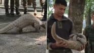 Indian Army Rescued Pangolin: अखनूर के एलओसी पोस्ट पर दुर्लभ पेंगोलिन की बचाई जान, भारतीय सेना के गिग्रियल बटालियन ने वन विभाग के हवाले किया;VIDEO