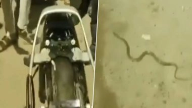VIDEO: चलती स्कूटी से निकला कोबरा सांप, युवक के हाथ पर लिपटा, बाल बाल बची जान, झांसी का वीडियो आया सामने