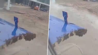 Bees Attack on Flight: सूरत एयरपोर्ट पर इंडिगो की फ्लाइट में मधुमक्खियों का हमला, यात्रियों में दहशत, हटाने के लिए डाला गया पानी;VIDEO