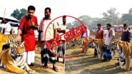 Fact Check: खुले बाजार में बिक रहा है बाघ, बड़ी संख्या में खरीदने जुटे लोग? क्या है इस वायरल वीडियो का असली सच