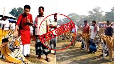 Fact Check: खुले बाजार में बिक रहा है बाघ, बड़ी संख्या में खरीदने जुटे लोग? क्या है इस वायरल वीडियो का असली सच