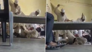 Talibani Punishment: यूपी के पीलीभीत में ससुराल वालों ने दामाद को बेरहमी से पीटा, दिल दहला देने वाला वीडियो वायरल