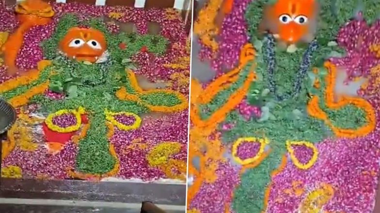 Prayagraj Bade Hanuman Mandir: प्रयागराज में गंगा-यमुना ने किए बड़े हनुमान जी के दर्शन, गर्भगृह तक पहुंचा पवित्र जल; देखें मनमोहक VIDEO