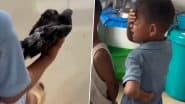 Viral Video: बिल्ली के हमले में घायल हुआ कबूतर, बच्चा उसे हॉस्पिटल लेकर पहुंचा, मौत पर फूट फूटकर रोने लगा मासूम, अरुणाचल प्रदेश के लोंगडिंग का वीडियो आया सामने