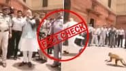 FACT CHECK: केंद्रीय गृहमंत्री अमित शाह पर बंदर ने किया हमला?  AI जनरेटेड निकला वायरल वीडियो, फैक्ट चेक में हुआ खुलासा