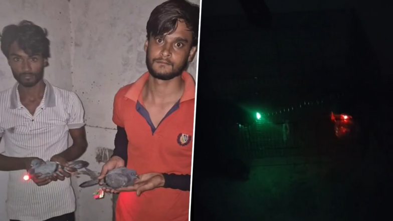 Video: यूपी के मुजफ्फरनगर में कबूतरों के पंजों में लाइट बांधकर उड़ाया, ड्रोन समझ पुलिस हुई परेशान, दो गिरफ्तार