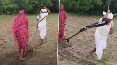 VIDEO: बैल नहीं मिले, ट्रैक्टर के लिए नहीं थे पैसे.. ऐसे में किसान ने खुद ही हल की जगह खड़े रहकर जोत दिया खेत, महाराष्ट्र के लातूर जिले का इमोशनल वीडियो आया सामने