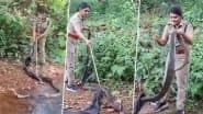 Huge King Cobra Rescue Video: केरल की महिला वन अधिकारी ने छह मिनट में रेस्क्यू किया 18 फीट का विशाल किंग कोबरा, वीडियो हुआ वायरल