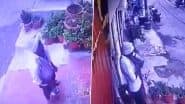 VIDEO:लखनऊ में शर्मनाक हरकत! दूध में थूकने वाले शख्स का वीडियो आया सामने, सालों से परिसर में करता है बिक्री