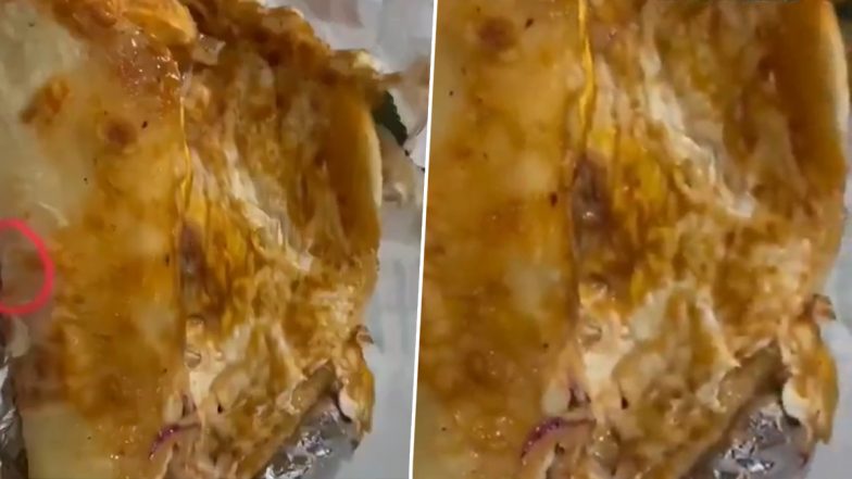 Hapur: सावन में मंगवाया पनीर रोल, Swiggy ने डिलीवर किया एग रोल, ग्राहक ने दर्ज करवाई शिकायत, हापुड़ का वीडियो आया सामने;VIDEO