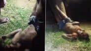 Fatehpur Shocker: फतेहपुर में बर्बरता! चोरी के शक में युवक को पेड़ से उल्टा लटकाकर पीटा, घटना का वीडियो आया सामने;VIDEO