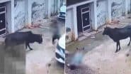 Bull Attack: एमपी के कटनी में आवारा सांड ने एक ही परिवार के 3 लोगों पर किया हमला, घटना CCTV में कैद