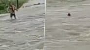 VIDEO: लोगों ने रुकने के लिए कहा, लेकिन किसी की बात नहीं मानी.. उफनती नदी को दौड़कर पार करते समय युवक बहा, राजसमंद जिले का वीडियो आया सामने