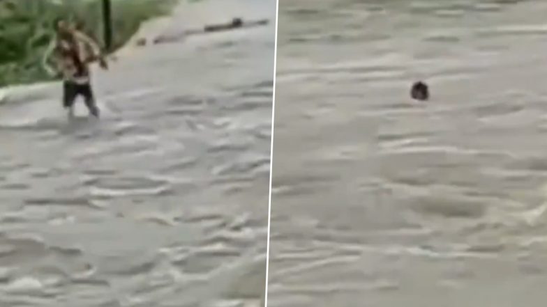VIDEO: लोगों ने रुकने के लिए कहा, लेकिन किसी की बात नहीं मानी.. उफनती नदी को दौड़कर पार करते समय युवक बहा, राजसमंद जिले का वीडियो आया सामने
