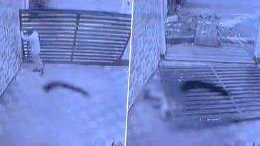 VIDEO: मुरादाबाद में बाइक शोरूम का गेट बना 'काल', खोलते वक्त सिक्योरिटी गार्ड पर गिरा; तड़प-तड़प कर हुई मौत