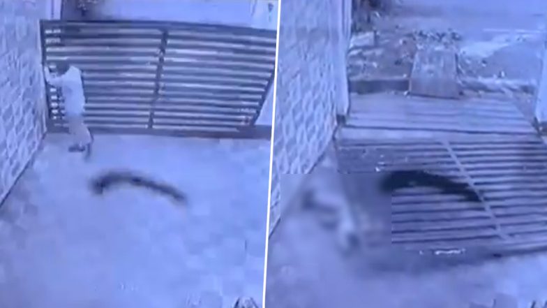 VIDEO: मुरादाबाद में बाइक शोरूम का गेट बना 'काल', खोलते वक्त सिक्योरिटी गार्ड पर गिरा; तड़प-तड़प कर हुई मौत