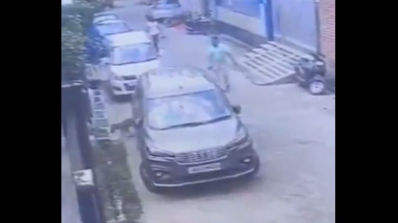 VIDEO: क्रूरता की हद है! सनकी रिटायर्ड अधिकारी ने कुत्ते को मारी 4 गोलियां, भौंकने पर बेजुबान को उतारा मौत के घाट, बिजनौर का वीडियो आया सामने