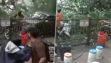 VIDEO: बेंगलुरु में भारी बारिश के बीच काल बनकर टूटा गुलमोहर का पेड़, बुरी तरह फंसा ऑटो ड्राइवर; बाल-बाल बची जान VIDEO: बेंगलुरु में भारी बारिश के बीच काल बनकर टूटा गुलमोहर का पेड़, बुरी तरह फंसा ऑटो ड्राइवर; बाल-बाल बची जान