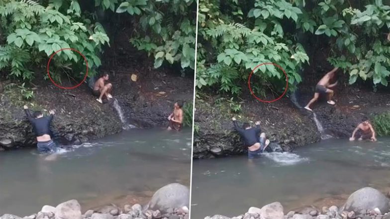 Man Narrowly Escapes Snake Attack: झरने पर नहा रहे शख्स पर खतरनाक सांप करने वाला था हमला, बाल- बाल बचा- देखें वीडियो