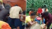 Singrauli: मध्य प्रदेश के सिंगरौली में पलटा डीजल टैंकर, बाल्टी और कैन लेकर पहुंचे लोग, मची तेल लूटने की होड़; VIDEO