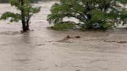 America Flood: टेक्सास में विनाशकारी बाढ़ के कारण अब तक 120 की मौत, 170 से अधिक लोग लापता