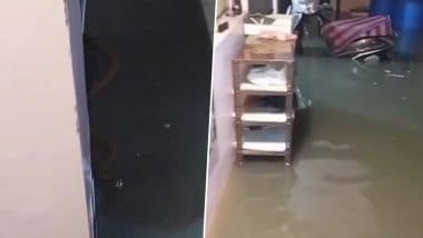 Heavy Rain in Raipur: छत्तीसगढ़ के रायपुर में भारी बारिश! लोगों के घरों में तैर रहे सांप, नागरिकों में फैली दहशत, VIDEO आया सामने Heavy Rain in Raipur: छत्तीसगढ़ के रायपुर में भारी बारिश! लोगों के घरों में तैर रहे सांप, नागरिकों में फैली दहशत, VIDEO आया सामने