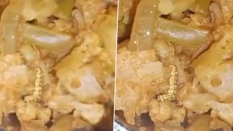 Worm Found in Food: पुणे की सावित्रीबाई फुले यूनिवर्सिटी की कैंटीन के खाने में मिली इल्ली, छात्रों के स्वास्थ के साथ खिलवाड़, VIDEO आया सामने
