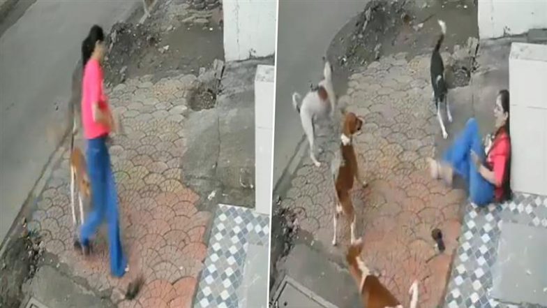 MP: कॉलेज स्टूडेंट पर चार कुत्तों ने किया जानलेवा हमला, इंदौर के श्रीनगर एक्सटेंशन की घटना; सामने आया खौफनाक VIDEO