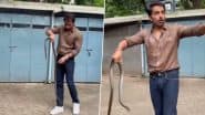 VIDEO: रील नहीं Real लाइफ में भी हीरो है सोनू सूद! सोसाइटी में घुस आया सांप, एक्टर ने हाथों से पकड़कर किया रेस्क्यू, वीडियो आया सामने