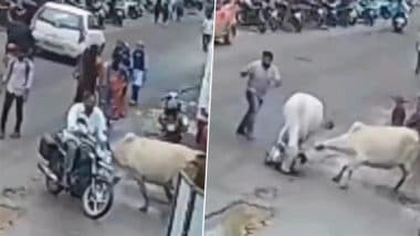 Cow Attack: बिहार के बांका में 2 गायों ने बुजुर्ग पर बुरी तरह किया हमला, चौंकाने वाला वीडियो आया सामने