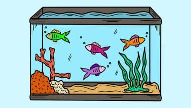 Vastu & Fish: वास्तु नियमों के तहत मछली शुभ है या अशुभ? अगर शुभ है तो वास्तु शास्त्री से जानें, इसकी दशा-दिशा एवं संभावित लाभ! Vastu & Fish: वास्तु नियमों के तहत मछली शुभ है या अशुभ? अगर शुभ है तो वास्तु शास्त्री से जानें, इसकी दशा-दिशा एवं संभावित लाभ!