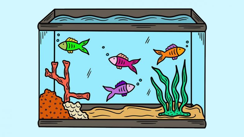 Vastu &amp; Fish: वास्तु नियमों के तहत मछली शुभ है या अशुभ? अगर शुभ है तो वास्तु शास्त्री से जानें, इसकी दशा-दिशा एवं संभावित लाभ!