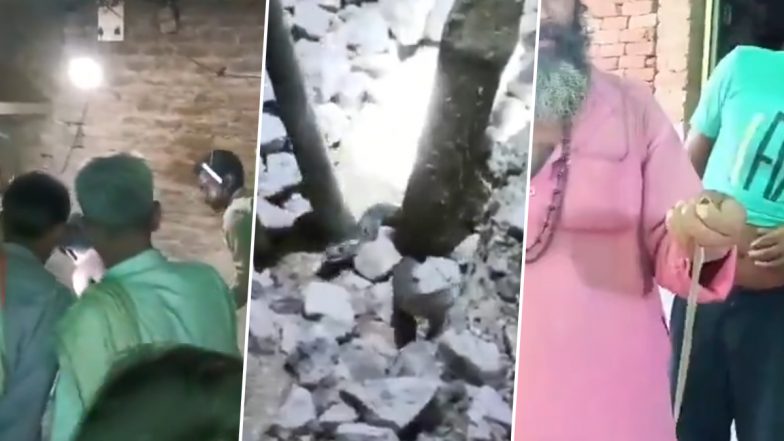 VIDEO: बाप रे! घर से निकले 14 घंटों में 16 सांप, 15 को ग्रामीणों ने मार डाला,1 को सपेरे ने किया रेस्क्यू, ललितपुर जिले का वीडियो आया सामने