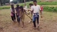 Odisha Shocker: शर्मनाक! युवती और युवक को बैल बनाकर खेत जुतवाया, प्रेम विवाह करने की मिली मिली सजा, ओडिशा के रायगढ़ का VIDEO आया सामने