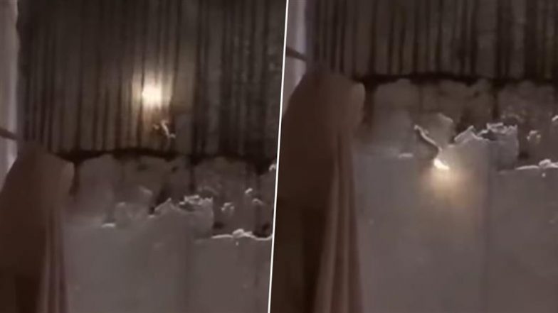 Lizard Igniting Fire From Its Tail: कंबोडियाई व्यक्ति ने अपनी पूंछ से आग जलाती हुई छिपकली का बनाया वीडियो, शॉकिंग क्लिप वायरल