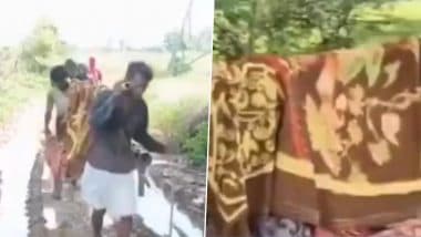 VIDEO: मध्य प्रदेश के विकास की खुली पोल! गर्भवती महिला को खाट पर कीचड़ भरे रास्ते से ले जाया गया हॉस्पिटल,सिंगरौली जिले का वीडियो आया सामने VIDEO: मध्य प्रदेश के विकास की खुली पोल! गर्भवती महिला को खाट पर कीचड़ भरे रास्ते से ले जाया गया हॉस्पिटल,सिंगरौली जिले का वीडियो आया सामने