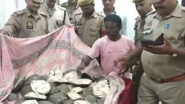 Smuggling of Turtles: वाराणसी रेलवे स्टेशन पर GRP की बड़ी कार्रवाई! 48 दुर्लभ कछुओं को किया जब्त, तस्कर गिरफ्तार; VIDEO