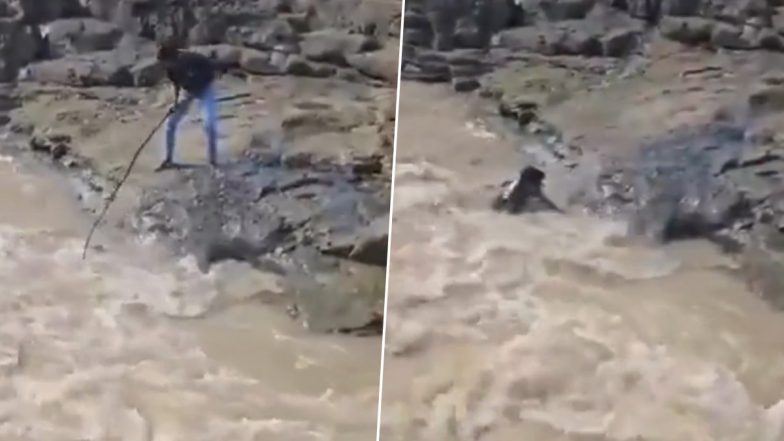 Seoni Shocker: चप्पल के लिए गंवाई जान! फिसलकर नदी में बह गया युवक, मध्य प्रदेश के सिवनी जिले का वीडियो आया सामने;VIDEO
