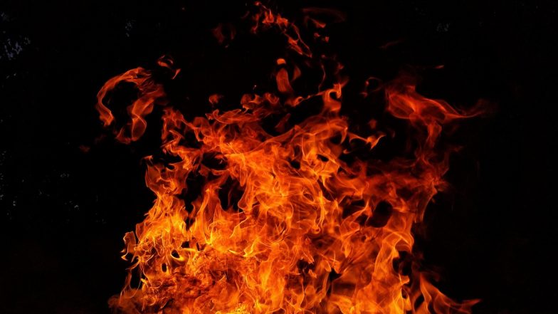 Thane Fire: मुंबई से सटे ठाणे के कपड़े के गोदाम में लगी भीषण आग, कड़ी मशक्कत के बाद पाया गया काबू; VIDEO