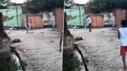 Animal Cruelty Caught on Camera: मुजफ्फरनगर में कुत्ते को बार-बार जमीन पर पटकर मार डाला, Video वायरल, पुलिस जांच में जुटी