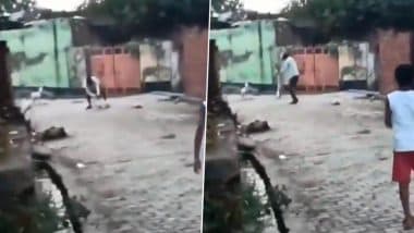 Animal Cruelty Caught on Camera: मुजफ्फरनगर में कुत्ते को बार-बार जमीन पर पटकर मार डाला, Video वायरल, पुलिस जांच में जुटी Animal Cruelty Caught on Camera: मुजफ्फरनगर में कुत्ते को बार-बार जमीन पर पटकर मार डाला, Video वायरल, पुलिस जांच में जुटी