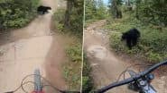 Viral Video: जंगल में साइकिल चला रहे शख्स के सामने आ गया भालू, फिर हुआ कुछ ऐसा… नजारा देख दंग रह जाएंगे आप